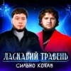 Обкладинка Ласкавий Травень - Cильно Кохав (IGOR MATUS Remix) Ласкавий Травень - Cильно Кохав (IGOR MATUS Remix)