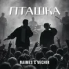Обкладинка NAIMES & VECHIR - пташка NAIMES & VECHIR - пташка