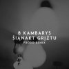 Обкладинка 8 Kambarys - Šiąnakt Grįžtu (Froro Remix) 8 Kambarys - Šiąnakt Grįžtu (Froro Remix)