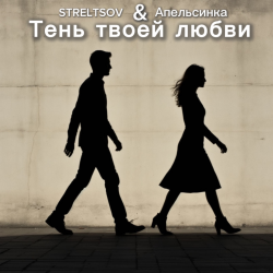 Обкладинка Тень твоей любви