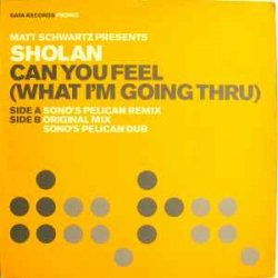 Обкладинка Matt Schwartz pres. Sholan - Can You Feel