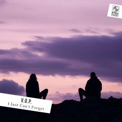 Обкладинка V.O.P. - I Just Can't Forget