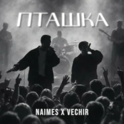 Обкладинка NAIMES & VECHIR - пташка
