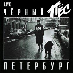 Обкладинка ДДТ - Чёрный пёс Петербург