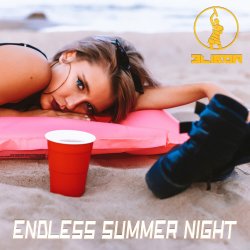 Обкладинка Endless Summer Night