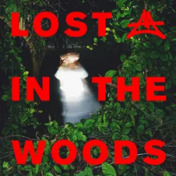 Обкладинка Elderbrook & Adriatique - Lost In The Woods
