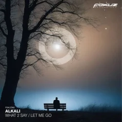Обкладинка Alkali. - What 2 Say