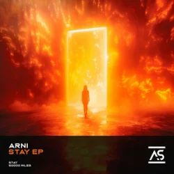 Обкладинка Divinsity - Ashes to Anthem (Hardstyle)