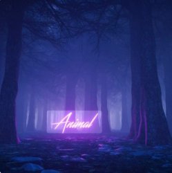 Обкладинка Jim Yosef feat. Riell - Animal