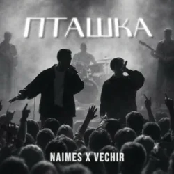 Обкладинка NAIMES & VECHIR - пташка (KARMV REMIX)