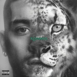 Обкладинка ZAYN - Die For Me
