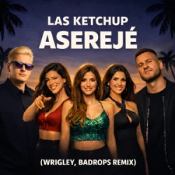Обкладинка Las Ketchup - Asereje (Wrigley & Badrops Remix)