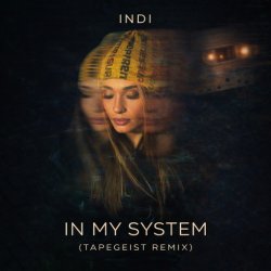 Обкладинка INDI - In My System