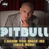 Обкладинка Pitbull - I Know You Want Me Pitbull - I Know You Want Me