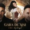 Обкладинка Petra & DJ Project - Gara de mai (Adrian Funk & OLiX Remix) Petra & DJ Project - Gara de mai (Adrian Funk & OLiX Remix)