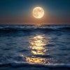 Обкладинка ОДМ - Moonlit Waves ОДМ - Moonlit Waves