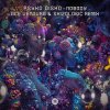 Cover Psyko Disko - Nobody (Ace Ventura & Skizologic Remix) Psyko Disko - Nobody (Ace Ventura & Skizologic Remix)