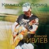 Обкладинка Алексей Ивлев - Кризис среднего возраста Алексей Ивлев - Кризис среднего возраста