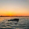 Обкладинка Disclosure - The Sun Comes Up Tremendous Disclosure - The Sun Comes Up Tremendous