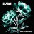 Cover Bush - I Beat Loneliness