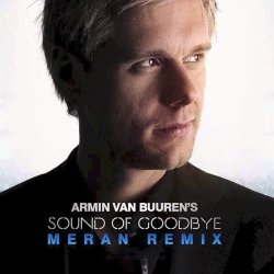 Обкладинка Armin van Buuren - The Sound Of Goodbye (Radio Edit)