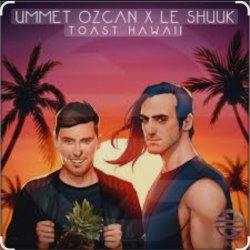 Обкладинка Ummet Ozcan & Le Shuuk - Toast Hawaii
