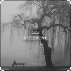 Обкладинка DNDM - Not Mine (Extended)