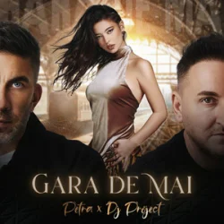 Обкладинка Petra & DJ Project - Gara de mai (Adrian Funk & OLiX Remix)