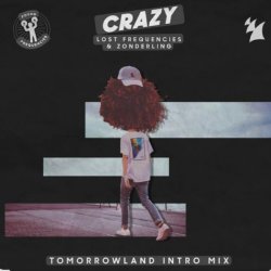 Обкладинка Lost Frequencies & Zonderling - Crazy