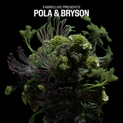 Обкладинка Pola & Bryson - Insomnia (Mixed)