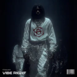 Обкладинка Stadiumx - Vibe Right