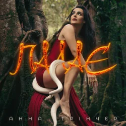 Обкладинка Анна Трінчер - Палає (KARMV REMIX)