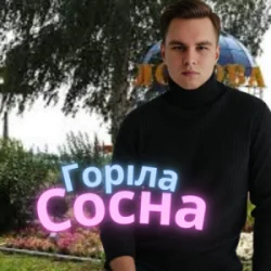 Обкладинка Friends in Kharkiv - Горіла сосна