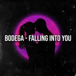 Обкладинка Bodega - Falling Into You