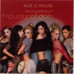 Обкладинка Pussycat Dolls ft. Timbaland - Wait a Minute