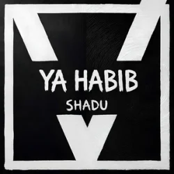 Обкладинка SHADU - Al Noor