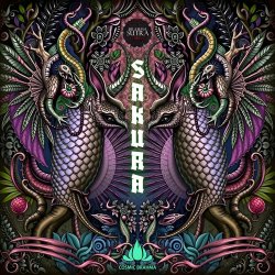 Обкладинка Cosmic Brahma - Samurai Jack