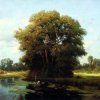 Обкладинка Льонок - Шумiла сосна i явiр Льонок - Шумiла сосна i явiр