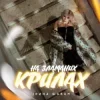 Обкладинка Ірина Шабан - На зламаних крилах Ірина Шабан - На зламаних крилах