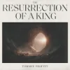 Обкладинка Tommee Profitt & Fleurie - I’ll Fly Away Tommee Profitt & Fleurie - I’ll Fly Away