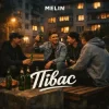 Обкладинка MELIN - Півас MELIN - Півас