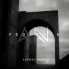 Aurora Night - Prologue