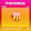 Обкладинка RASA - Пчеловод (Dobrynin & Alex Shik Radio Edit) RASA - Пчеловод (Dobrynin & Alex Shik Radio Edit)