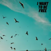 Обкладинка Roberto Pedoto - I Want To Be Free Roberto Pedoto - I Want To Be Free