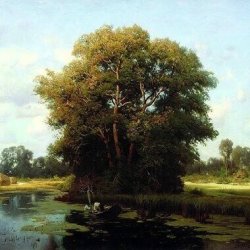 Обкладинка Льонок - Шумiла сосна i явiр