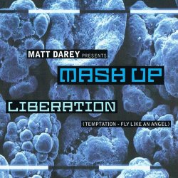 Обкладинка Matt Darey pres. Mash Up - Liberation (Ferry Corsten Remix)