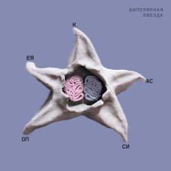 Обкладинка Кассиопея - Потолок