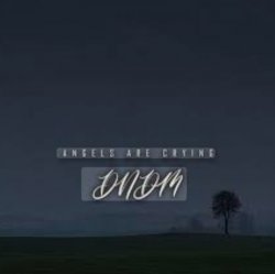 Обкладинка DNDM - Angels Are Crying