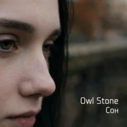 Обкладинка Owl Stone - Сон