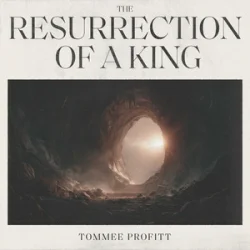 Обкладинка Tommee Profitt & Fleurie - I’ll Fly Away